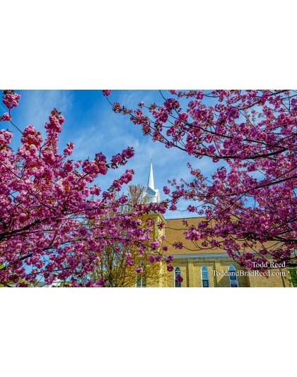 Methodist Beauty