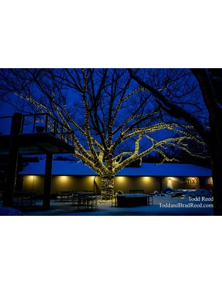 Stix Tree