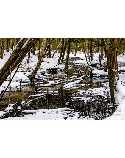 Deer Creek 