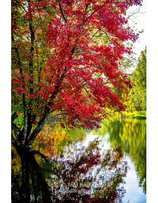 Reflective Magic