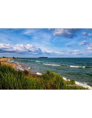 Shore Breeze