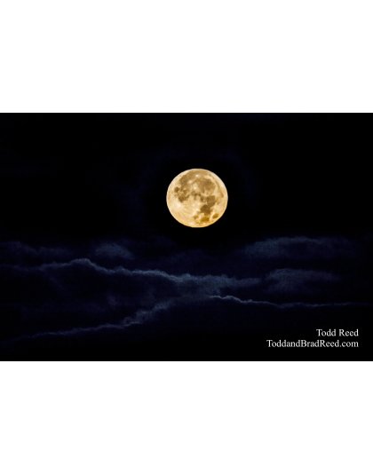 Werewolf Dreams