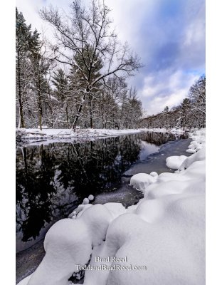 Sauble Powder