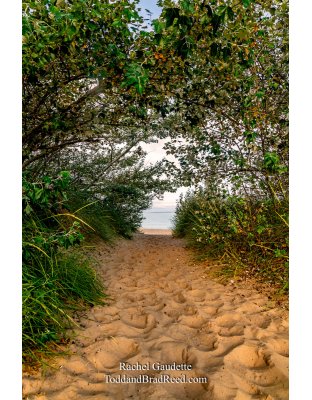 Rachel Gaudette's Golden Path 5437