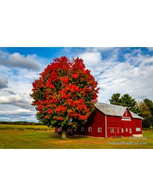 Fall On Amber Road