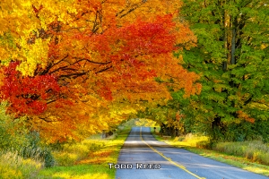 Splendor of Fall Workshop