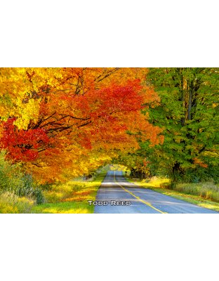 Splendor of Fall Workshop 2026 INCLUDING MEALS, October 21-23, 2026