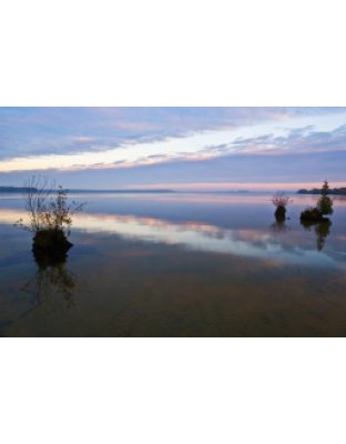 Cook's Island (3737)