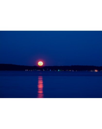 Blue Moon (0214)