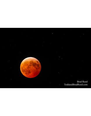 Worm Moon