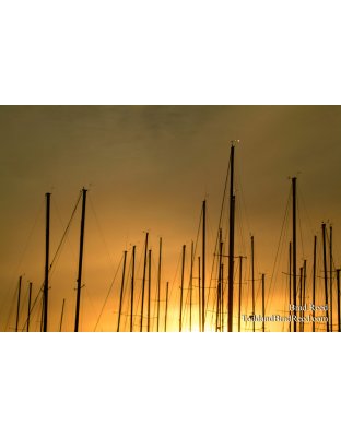 A Sailor's Morning