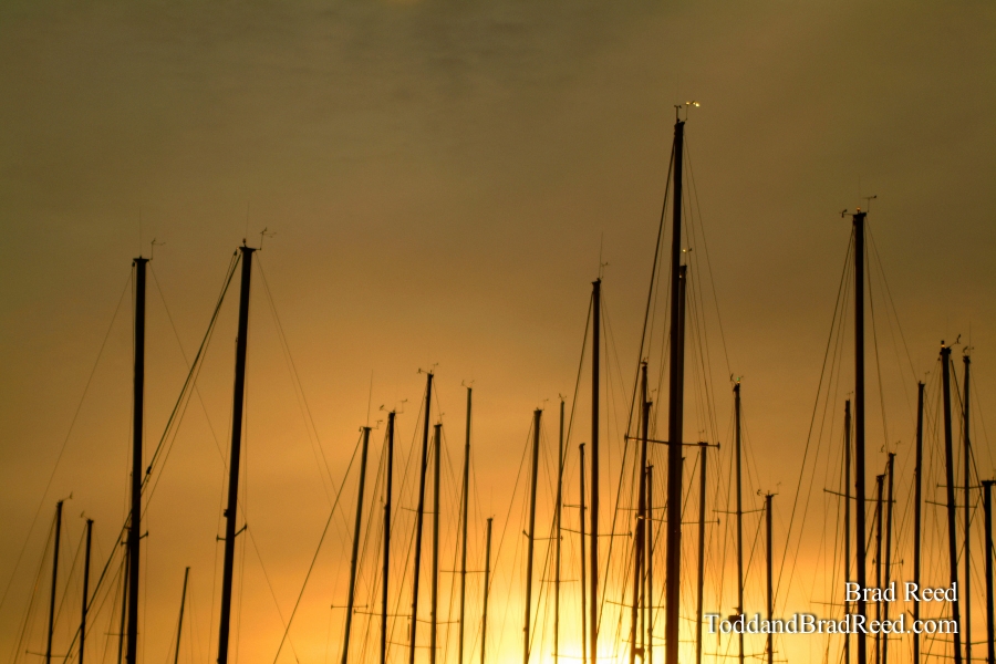 A Sailor's Morning