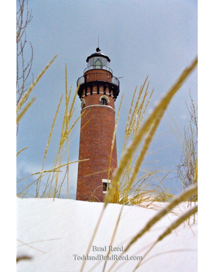 Christmas Light