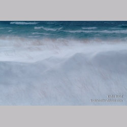 Winter Watch