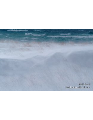 Winter Watch