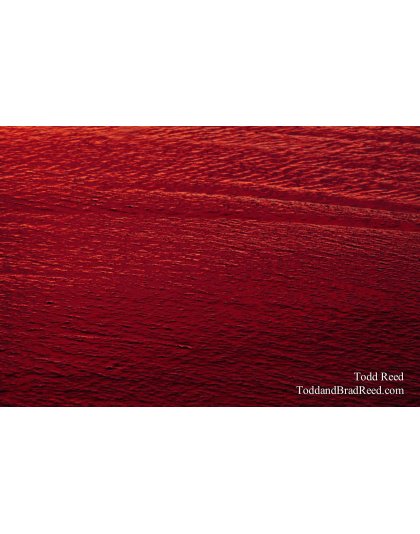 Red Sea