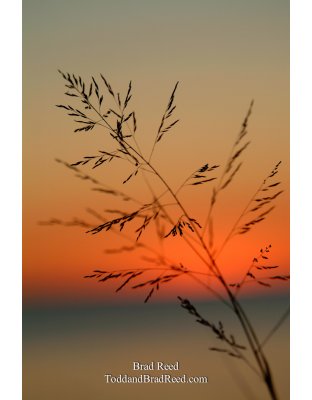 Breezy Night