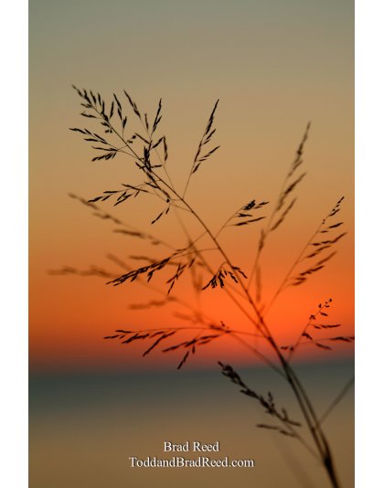Breezy Night