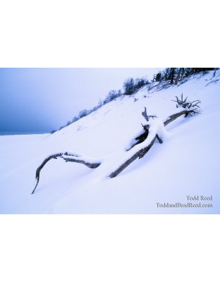 Snow Sculpture