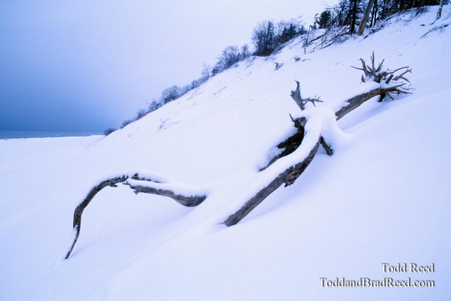 Snow Sculpture
