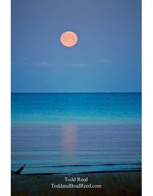 Turquoise Moon