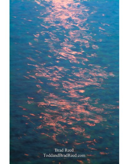 Tropical Illusion