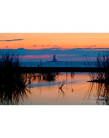 Reflections of Summer