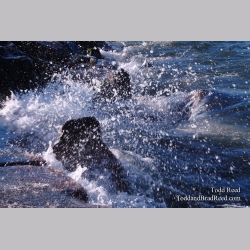 Splash