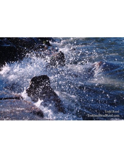 Splash