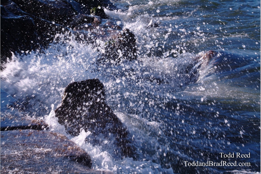 Splash