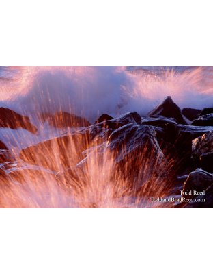 Fire Water