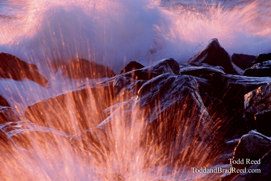Fire Water