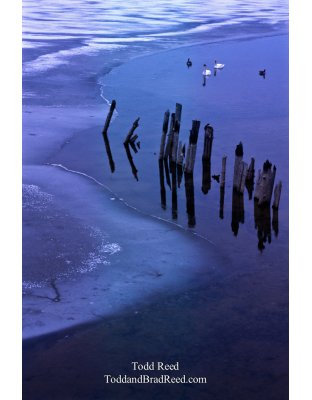 Open Water