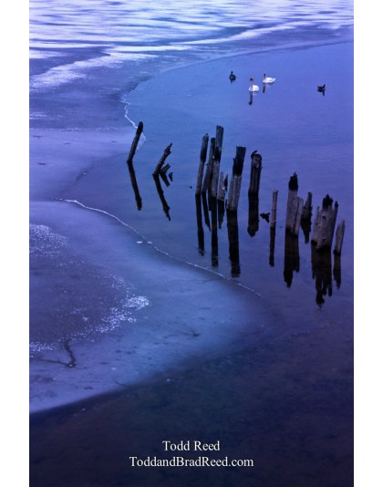 Open Water