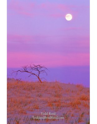 Shoot the Moon