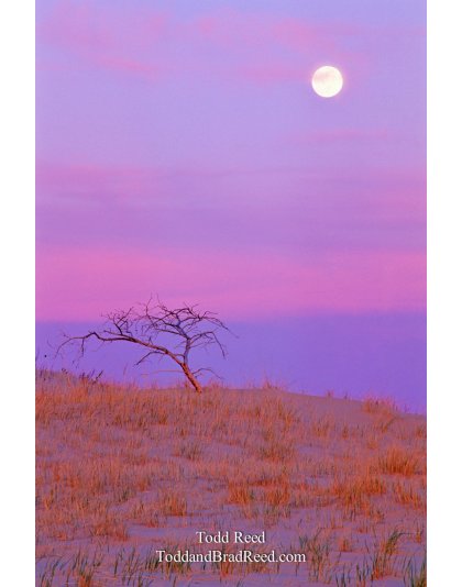 Shoot the Moon
