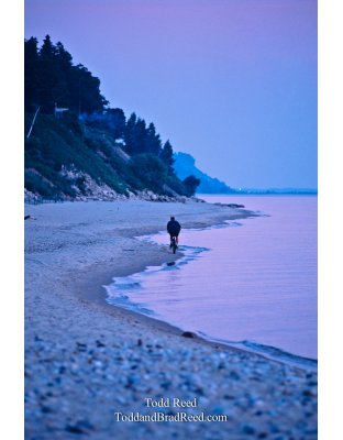 Shoreline Trek