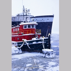 Winter Voyagers
