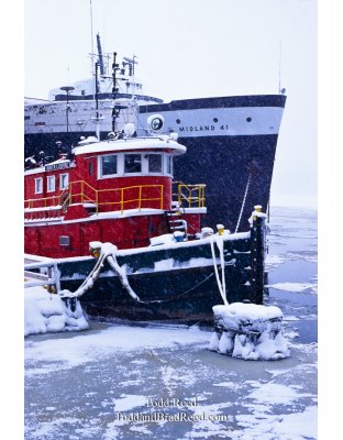 Winter Voyagers