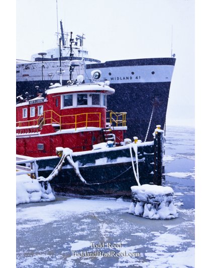 Winter Voyagers