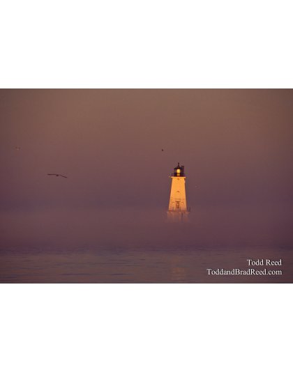 Mystic Morning