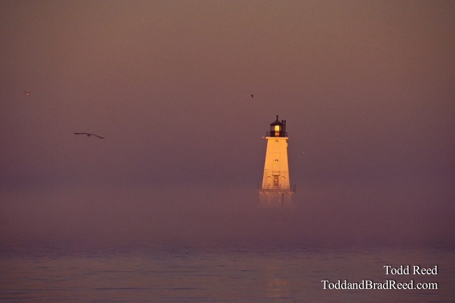 Mystic Morning
