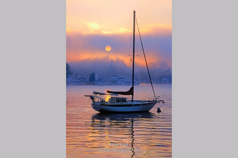 Sunrise Solitude