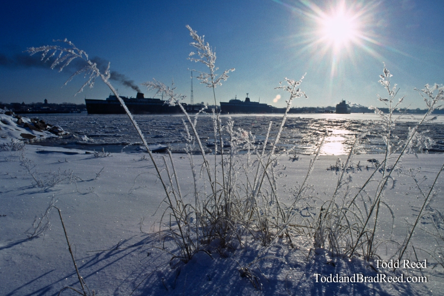 Frosty Outlook