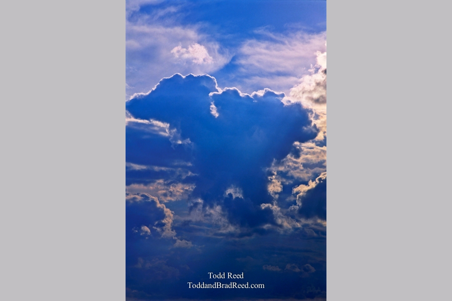 Robbie's Cloud