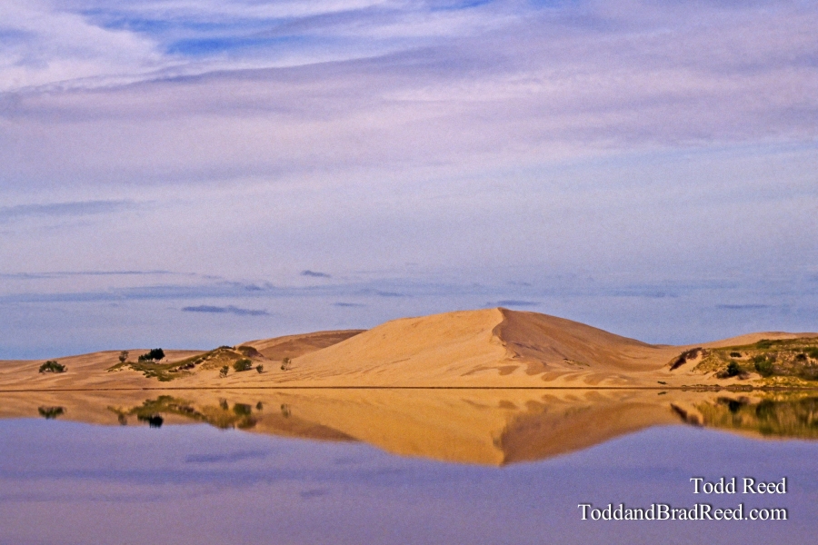 Dune Reflection