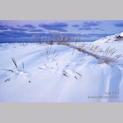 Snow Painting