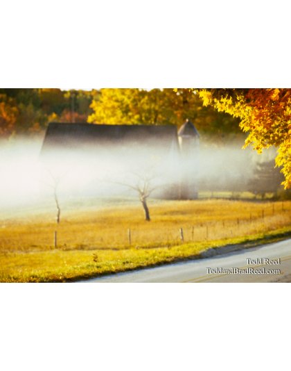 Michigan Morning