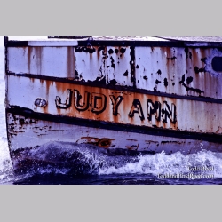 Judy Ann