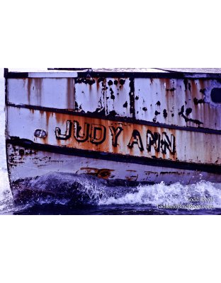 Judy Ann
